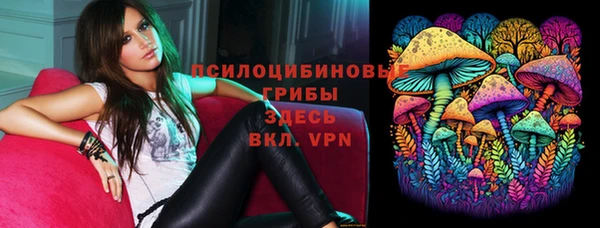 таблы Тайга